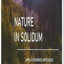 Nature In Solidum