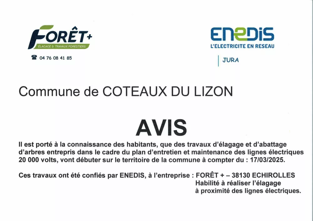 Travaux d'élagage et d'abattage d'arbres