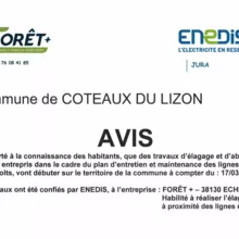 Travaux d'élagage et d'abattage d'arbres