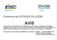 Travaux d'élagage et d'abattage d'arbres